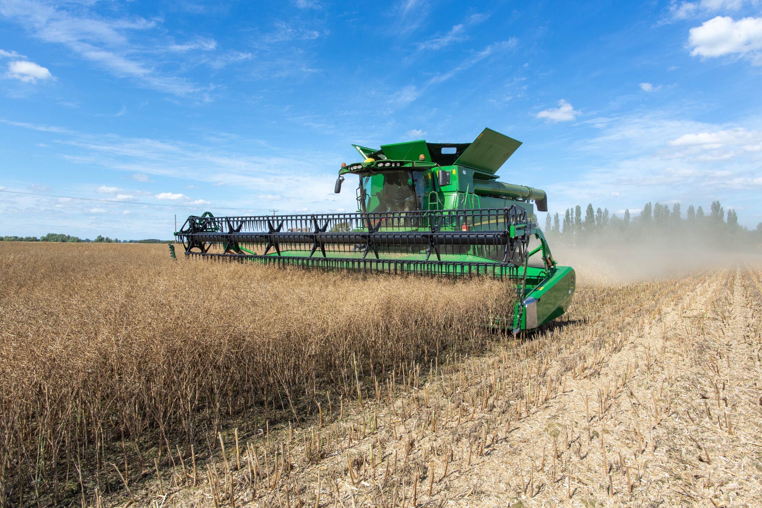 Harvest.jpg